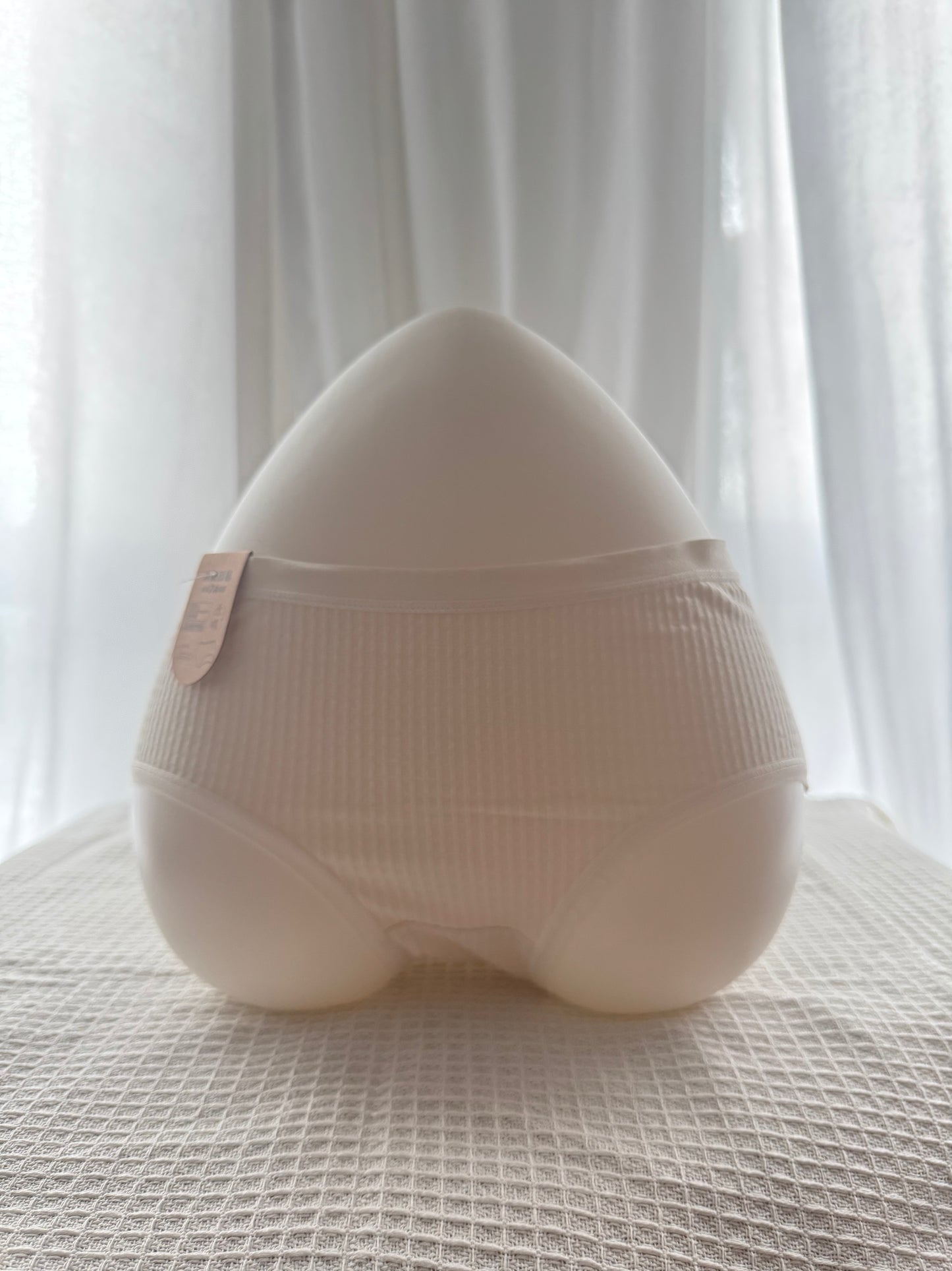 PuritiSoft Cotton Core Brief – A-Class 7A Antibacterial Girl’s Essential